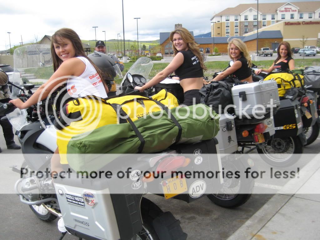 Il motorcycle plates primobinger